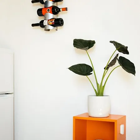 Duplex Climatise Avec Terrasse Sans Vis A Vis Dans L'hypercentre Nîmes