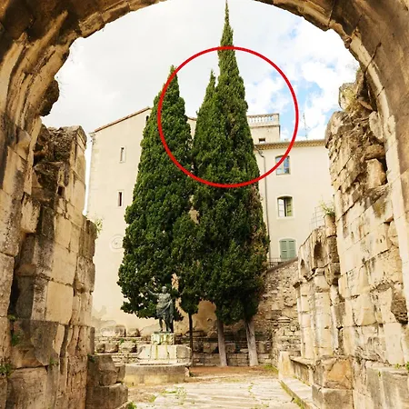Duplex Climatise Avec Terrasse Sans Vis A Vis Dans L'hypercentre Nîmes
